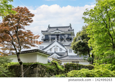 愛知縣岡崎市岡崎城塔 愛知縣岡崎市岡崎城塔 142499263