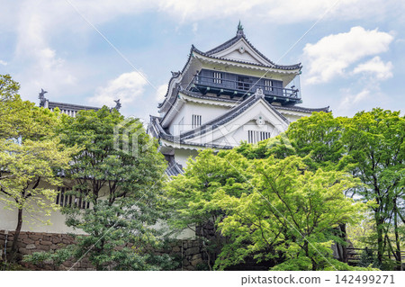 愛知縣岡崎市岡崎城塔 愛知縣岡崎市岡崎城塔 142499271