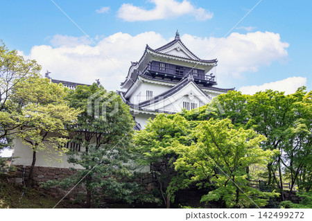 愛知縣岡崎市岡崎城塔 愛知縣岡崎市岡崎城塔 142499272