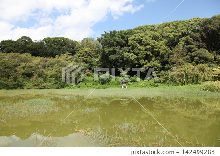 鶴見綠地公園、世博美術館、日本庭園、四季池 鶴見綠地公園、世博美術館、日本庭園、四季池 142499283