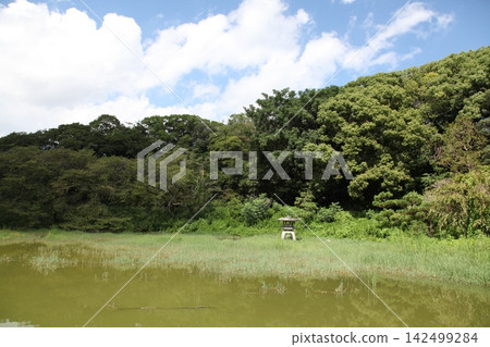 鶴見綠地公園、世博美術館、日本庭園、四季池 鶴見綠地公園、世博美術館、日本庭園、四季池 142499284