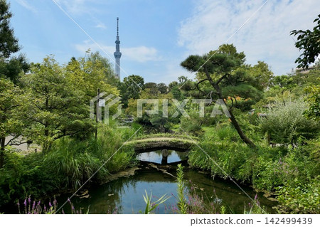 Mukojima Hyakkaen Garden in Summer Mukojima Hyakkaen Garden in Summer 142499439