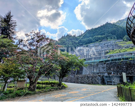 兵庫縣朝戈市原禦子畑選礦廠舊址上的紫薇樹。 兵庫縣朝戈市原禦子畑選礦廠舊址上的紫薇樹。 142499773
