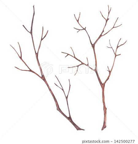 Set of dry bare tree branches in brown shades. Brown leafless twigs. Hand-drawn watercolor illustration, isolated on a white background. Ideal for autumn, winter compositions, Halloween, rustic decor Set of dry bare tree branches in brown shades. Brown leafless twigs. Hand-drawn watercolor illustration, isolated on a white background. Ideal for autumn, winter compositions, Halloween, rustic decor 142500277