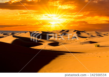 Sunset over the Moroccan Sahara Desert Sunset over the Moroccan Sahara Desert 142500534