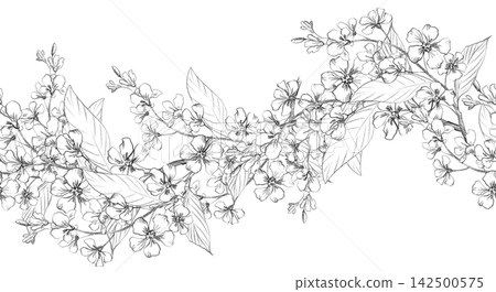 Seamless border of the bird cherry branches. Handmade farm pencil illustrations. For design of cards, cover, prints, product labels and fabric. Seamless border of the bird cherry branches. Handmade farm pencil illustrations. For design of cards, cover, prints, product labels and fabric. 142500575