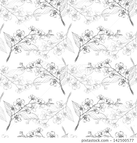 Seamless pattern of the bird cherry branches. Handmade pencil illustrations. For design of cards, cover, prints, product labels and fabric. Seamless pattern of the bird cherry branches. Handmade pencil illustrations. For design of cards, cover, prints, product labels and fabric. 142500577