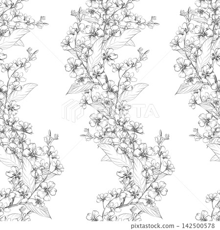 Seamless pattern of the vertical rows of the bird cherry branches. Handmade pencil illustrations. For design of cards, cover, prints, product labels and fabric. Seamless pattern of the vertical rows of the bird cherry branches. Handmade pencil illustrations. For design of cards, cover, prints, product labels and fabric. 142500578