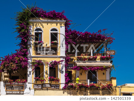 Greek Restaurant Building with Bougainvillea Flowers in Rhodes Greece 142501339