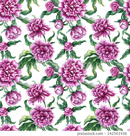 Seamless pattern with pink peonies. A hand drawn watercolor illustration. Ideal for textiles, tablecloths and curtains, wallpaper, covers, wrapping paper, prints, and much more. Seamless pattern with pink peonies. A hand drawn watercolor illustration. Ideal for textiles, tablecloths and curtains, wallpaper, covers, wrapping paper, prints, and much more. 142501436