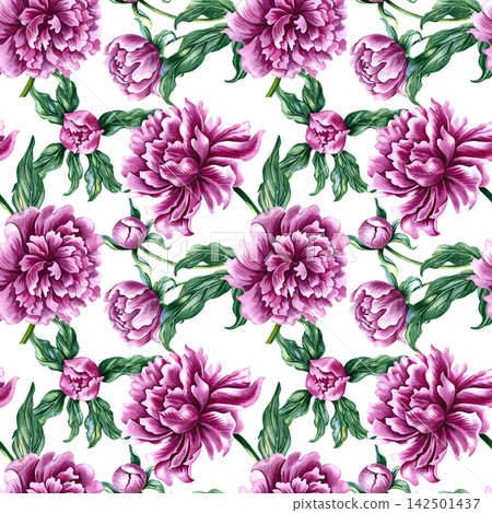 Seamless pattern with pink peonies. A hand drawn watercolor illustration. Ideal for textiles, tablecloths and curtains, wallpaper, covers, wrapping paper, prints, and much more. Seamless pattern with pink peonies. A hand drawn watercolor illustration. Ideal for textiles, tablecloths and curtains, wallpaper, covers, wrapping paper, prints, and much more. 142501437