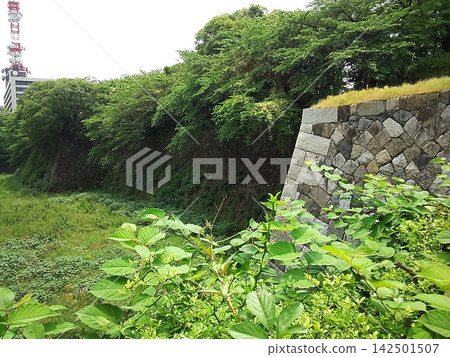 名古屋城堡石牆 名古屋城堡石牆 142501507