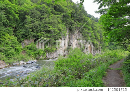 福島縣南會津郡南會津町屏風岩和稻川的鬱鬱蔥蔥景色 福島縣南會津郡南會津町屏風岩和稻川的鬱鬱蔥蔥景色 142501715