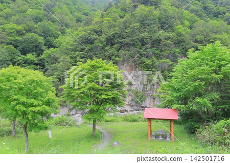 福島縣南會津郡南會津町屏風岩和稻川的鬱鬱蔥蔥景色 142501716