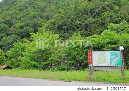 福島縣南會津郡南會津町屏風岩上的新鮮綠植 142501717