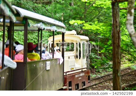 A photo taken from the rear of a forest railway train running through Akasawa Natural Recreation Forest. 142502199