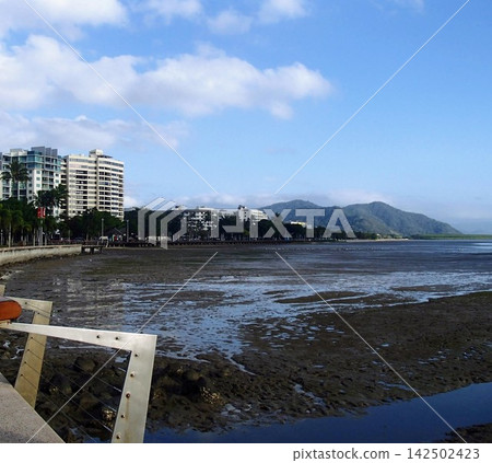 濱海藝術中心 濱海藝術中心 142502423