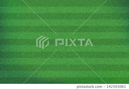 Soccer Pitch Striped Grass Texture Soccer Pitch Striped Grass Texture 142503061