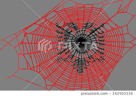 3D Flag on spider web 3D Flag on spider web 142503338