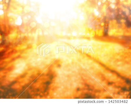 fall leaves in park, autumn blurred natural background fall leaves in park, autumn blurred natural background 142503482