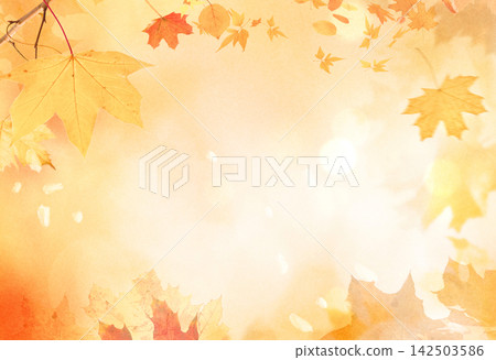 Fall scene in yellow color shades. Autumn background with shadow of maple tree leaves on a wall. Fall scene in yellow color shades. Autumn background with shadow of maple tree leaves on a wall. 142503586