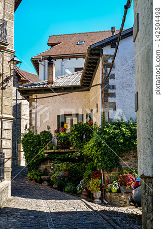 Strolling through Isaba in Roncal valley, Pyrenees, Navarre in Spain with brownish tiled roofs of residential buildings Strolling through Isaba in Roncal valley, Pyrenees, Navarre in Spain with brownish tiled roofs of residential buildings 142504498