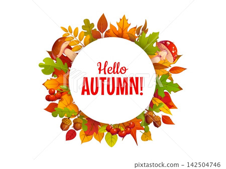 Hello autumn round banner with fall leaves, acorns, mushrooms and berries. Fall season placard, greeting card and poster with colorful maple, oak and rowan leaves, mushrooms, acorns and berry clusters Hello autumn round banner with fall leaves, acorns, mushrooms and berries. Fall season placard, greeting card and poster with colorful maple, oak and rowan leaves, mushrooms, acorns and berry clusters 142504746