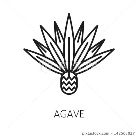 Agave line icon for Mexican holiday and Mexico celebration or culture and tradition symbol. Agave plant icon for Mexican traditional tequila or pulque and mezcal drink of Latin ethnic drinks 142505027