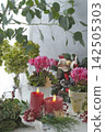 A natural floral arrangement featuring red candles, a Christmas wreath, and the green of eucalyptus. 142505303