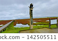 Coral grass of Lake Notori 142505511