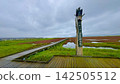 Coral grass of Lake Notori 142505512