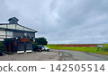 Inn and coral grass 142505514