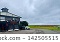 Inn and coral grass 142505515