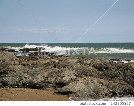 岩石海岸 岩石海岸 142505537