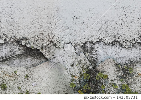 Damaged old wall with cracks, green mold and broken plaster shows severe moisture damage, decay and long term exposure to environmental conditions. Damaged old wall with cracks, green mold and broken plaster shows severe moisture damage, decay and long term exposure to environmental conditions. 142505731