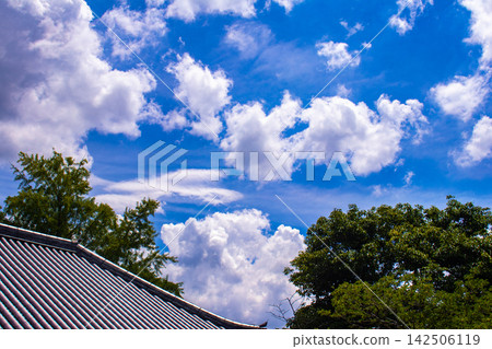 [Kyoto Scenery] The summer clouds over Hokaiji Temple evoke a sense of Buddha. 142506119