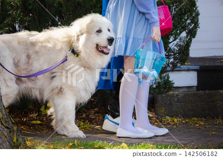 White Dog Beside Child in Blue Halloween Costume 142506182