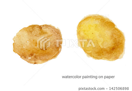 Potato - A vegetable hand-painted with transparent watercolors on watercolor paper. 142506898