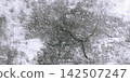 Weathered gray concrete wall, with cracks and texture 142507247