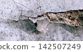 Severely Cracked and Peeling Grey Concrete Wall Texture 142507249