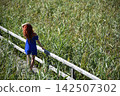 Red-haired woman in a vibrant blue dress, standing on a wooden footbridge 142507302