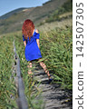 Red-haired woman in a vibrant blue dress, standing on a wooden footbridge 142507305