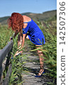 Red-haired woman in a vibrant blue dress, standing on a wooden footbridge 142507306