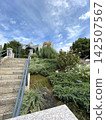 Lush gardens and stone steps 142507567