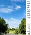 The cityscape of Yokohama and the park spread out under the blue sky. 142507612