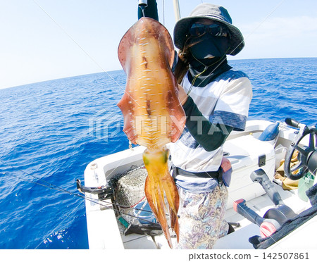 A fisherman holds up a large bigfin reef squid he caught using deep-sea eging. A fisherman holds up a large bigfin reef squid he caught using deep-sea eging. 142507861
