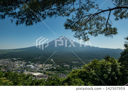 View of Mount Fuji from under a pine branch. Japan View of Mount Fuji from under a pine branch. Japan 142507959