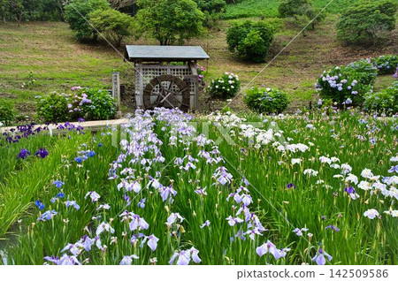 花碗和水磨坊 花碗和水磨坊 142509586