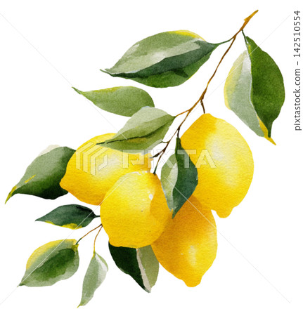 lemon lemon 142510554