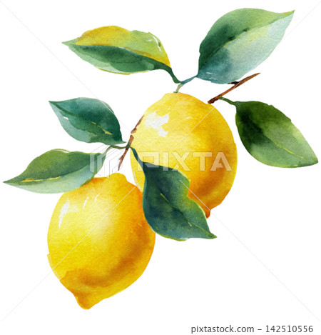 lemon lemon 142510556